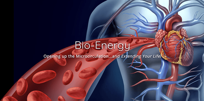 Bio Energy - Body:Heart with blood cells